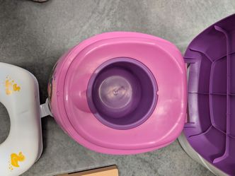Potty chair and toilet seat