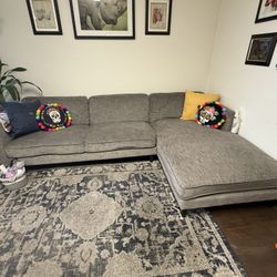 Grey Couch With Chase 