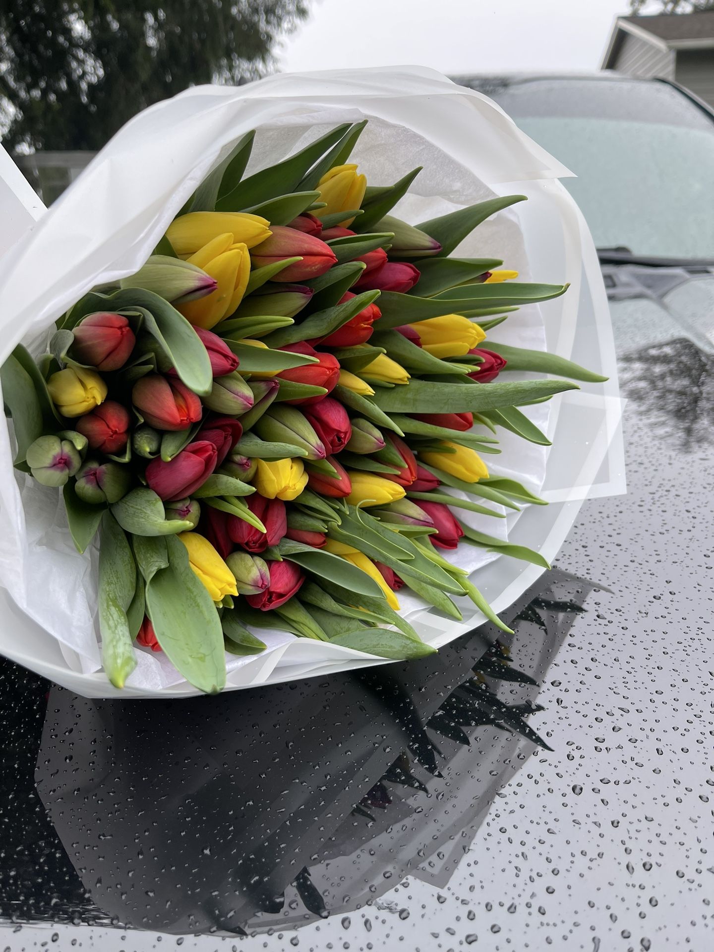 Flowers Bouquets