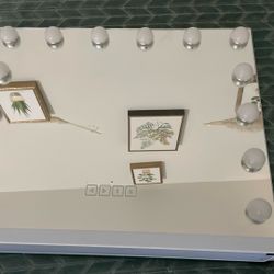 Bluetooth vanity mirror