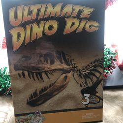 Dino Dig Activity