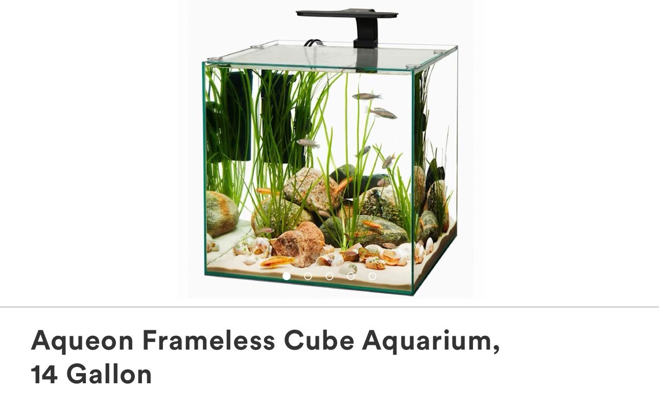 14 Gallon Cube Fish tank