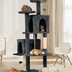 Cat Condo/Tree