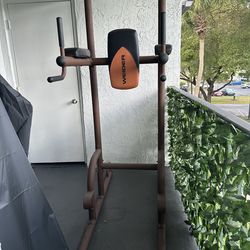 Weider Power Tower