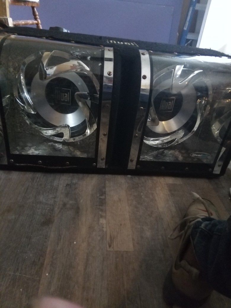 Dual 12" Car Speakers