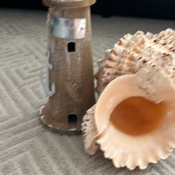 Sea Shell And Lighthouse Bundle