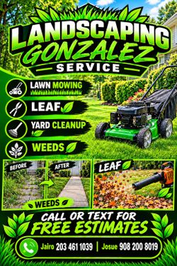Yard- Clean -Up.