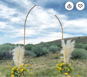 Asymmetrical metal arch backdrop