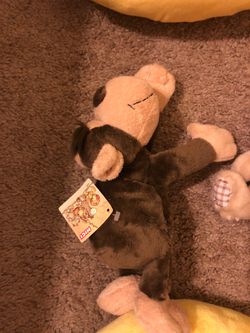 Nici monkey