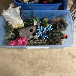 Tub Full Of Fish Tank Decor And Pebbles