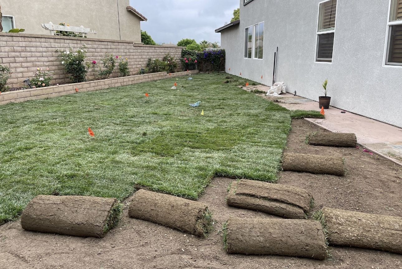 Sod Installation $3 SqFt