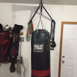 Punching bag and wall mount