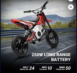 Mini E Bike Kids And Young Teens