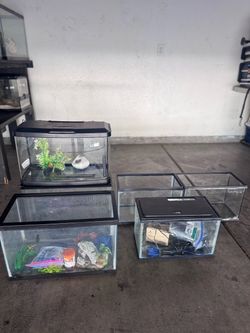 5 & 10 Gallon Aquariums