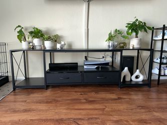 Entertainment Stand
