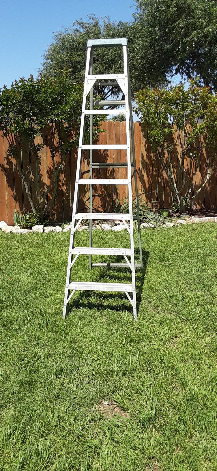8 Ft Ladder
