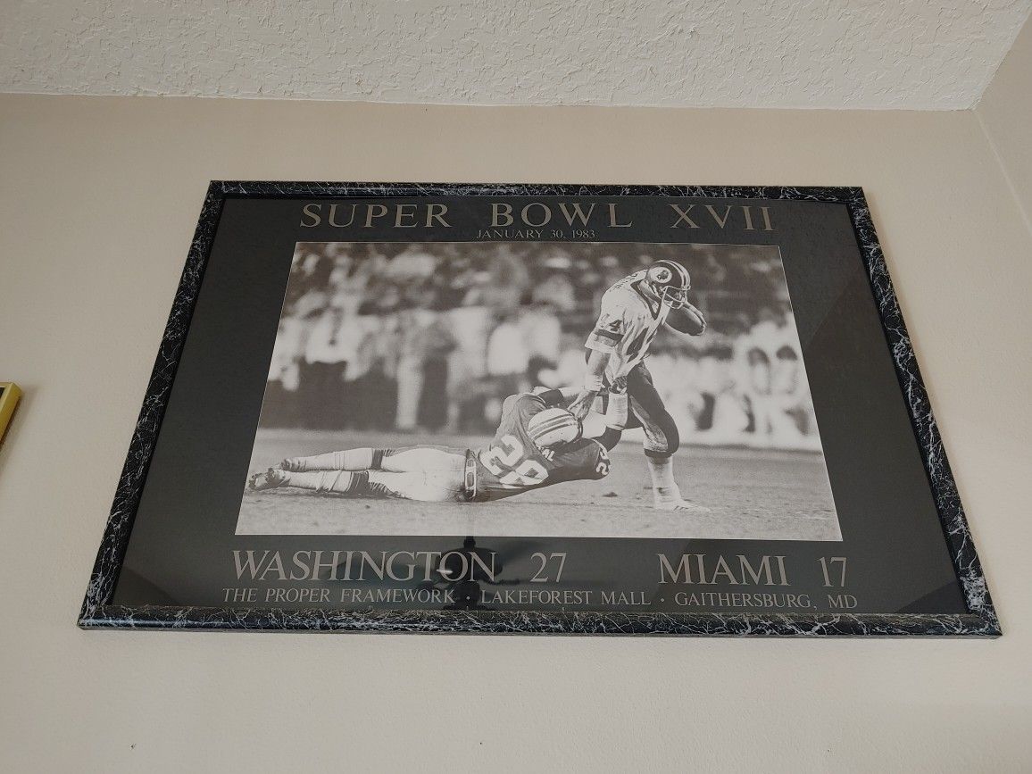 Washington Redskins Super Bowl frame XVII