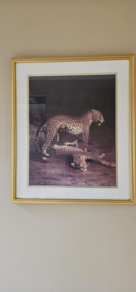 Cheetah Print In Frame
