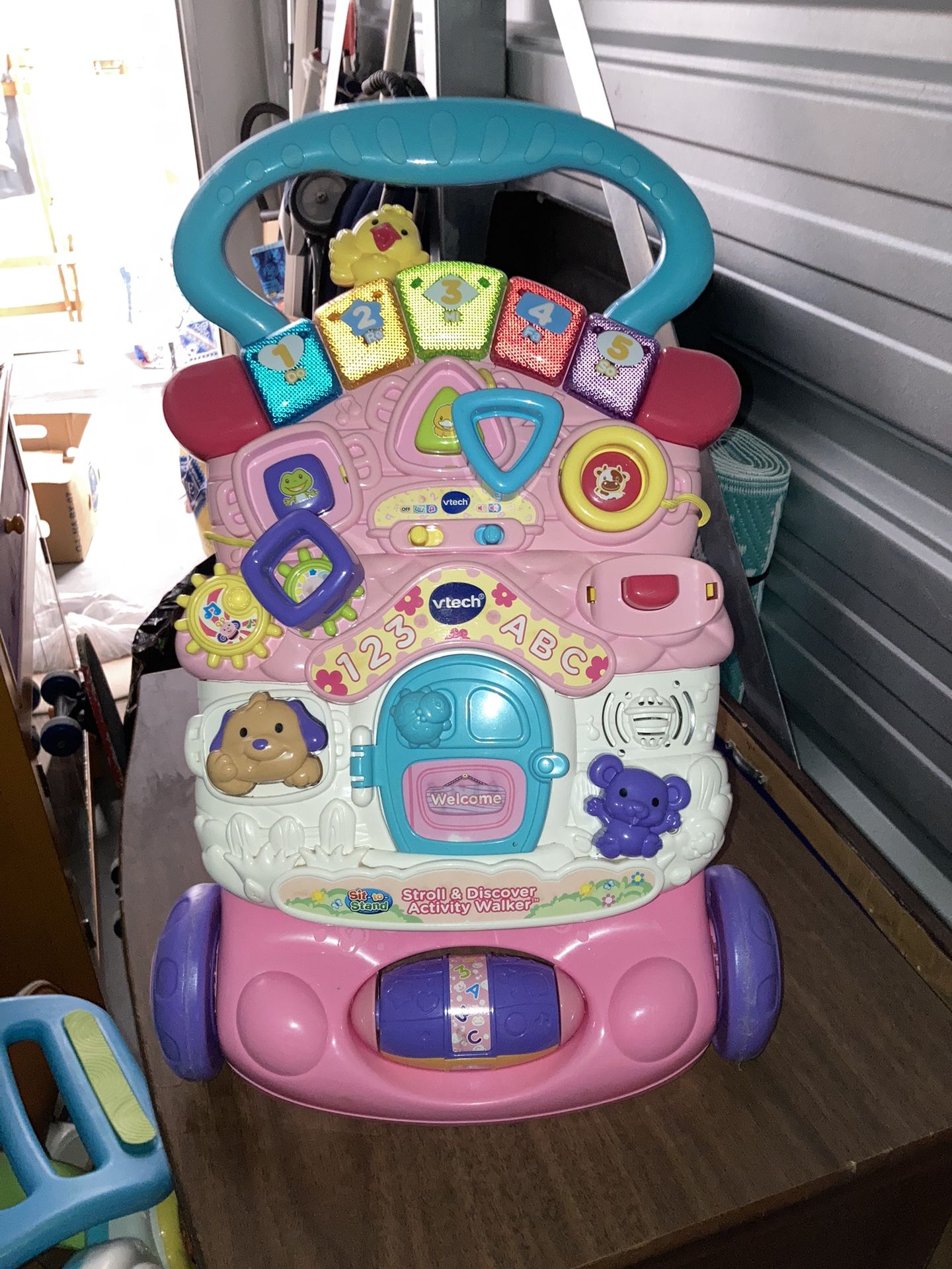 Infant Walker Toy