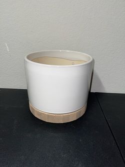 Plant Vase!