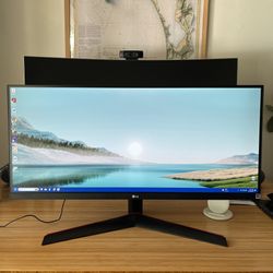 LG 29” UltraWide Monitor
