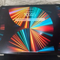 Apple iPad Pro 12.9 inch (5th Gen) WiFi & Cellular W/ Apple Pencil & 2 Cases