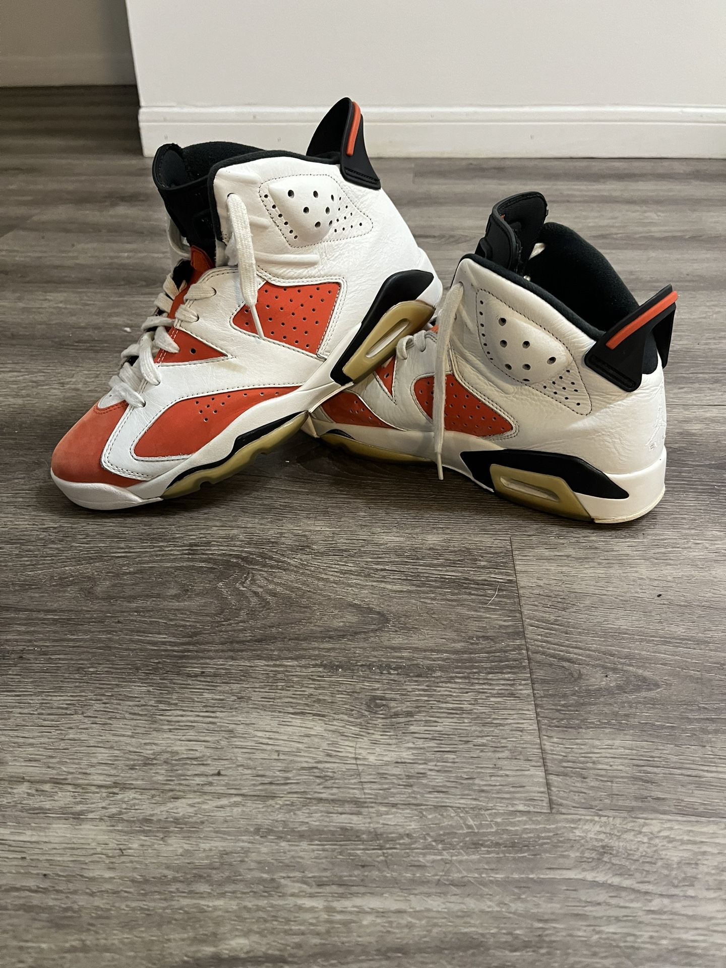 Gatorade Jordan 6s