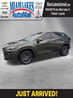 2025 Lexus NX 250