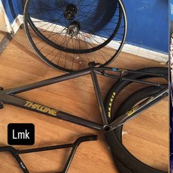 Throne Bike