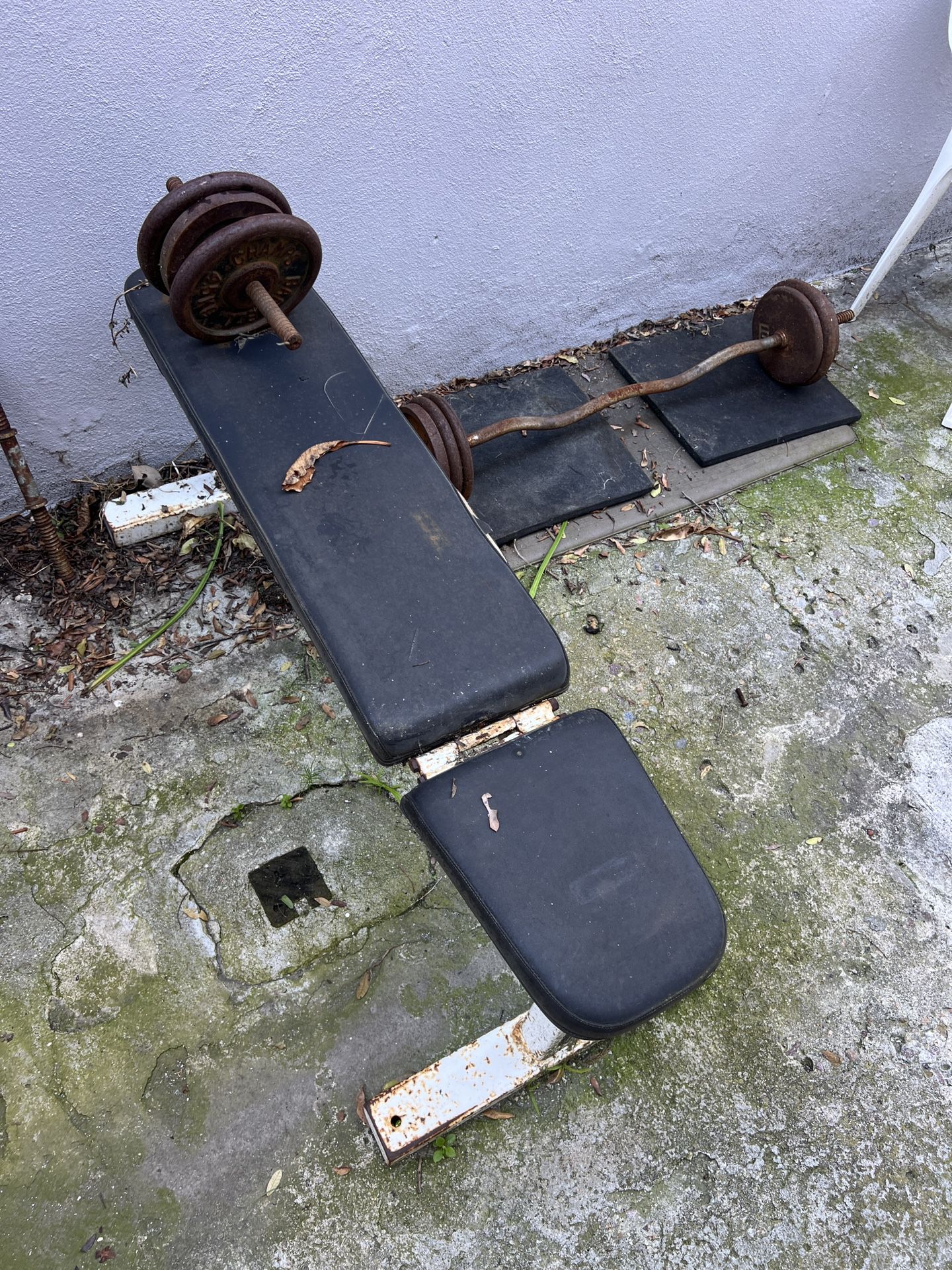 Weight Bench And Curl Bar 
