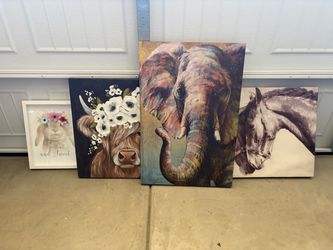 Frames decor