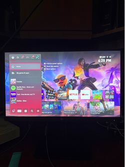 HP Monitor