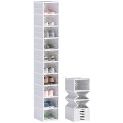 Storage Shoes