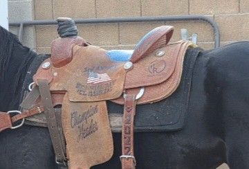 Saddle Roping
