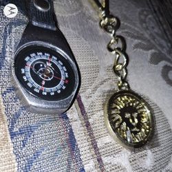 TWO Unique Key Chains - Gold Lion & Compass Only $5!!!!