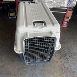 Dog Kennel