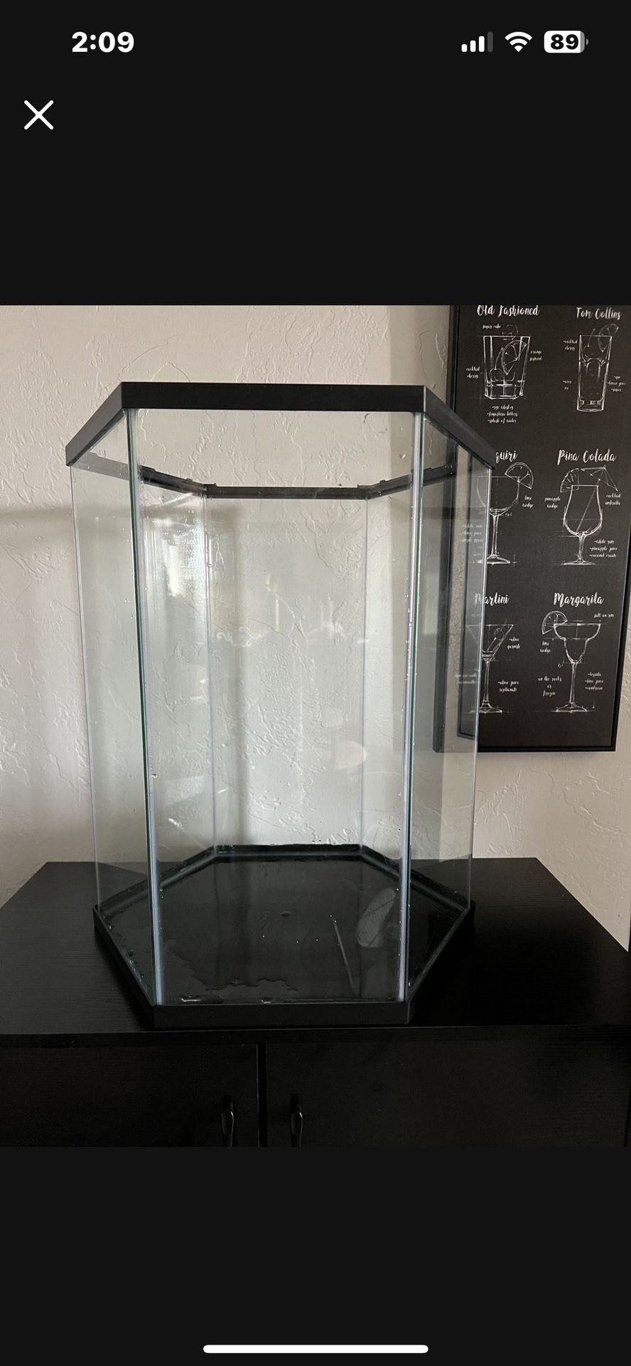 20 Gallon Tank & Decor