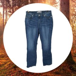 Levi Strauss & Co. Defined Waist 580 Straight Blue Jeans Women Sz 16W