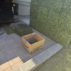2 Hedge Walls W/Extra Materials 