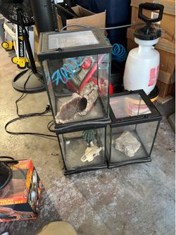 Reptile/amphibian habitats