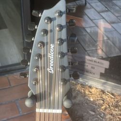 Breedlove 12 String with Hardshell Case - New