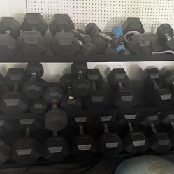   Rogue Dumbbells set with Rack $2,000