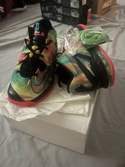 Max lebron XI low SE