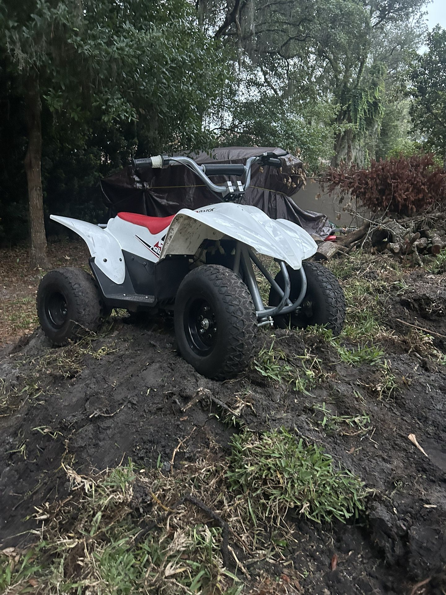 Razor Quad 500