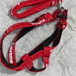 Supreme Dog Leash & Collar Fugazi 
