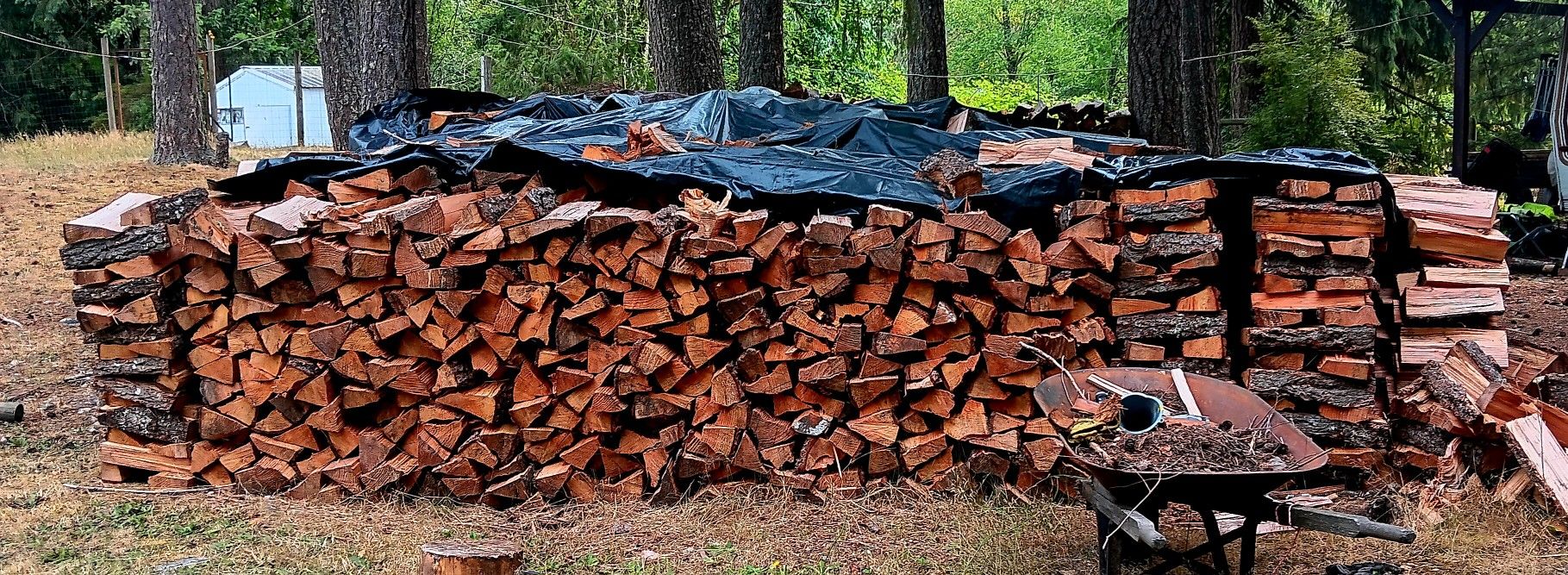 Fur wood Firewood