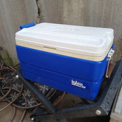 Igloo Cooler