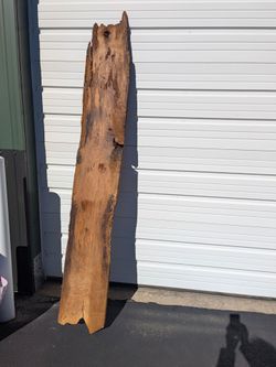 Live Edge Raw Wood Slab
