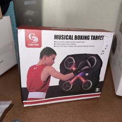 Music Boxing Toy