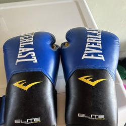 10 Oz Boxing Gloves 
